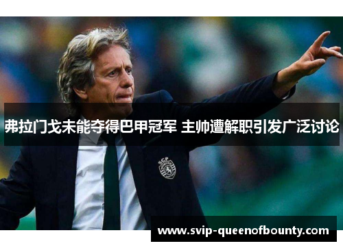 弗拉门戈未能夺得巴甲冠军 主帅遭解职引发广泛讨论